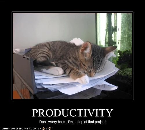 🧠 Developer's Mindset