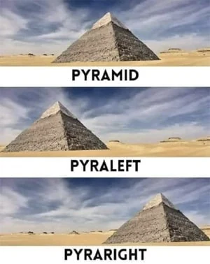 👨‍💻 Top Programming Languages